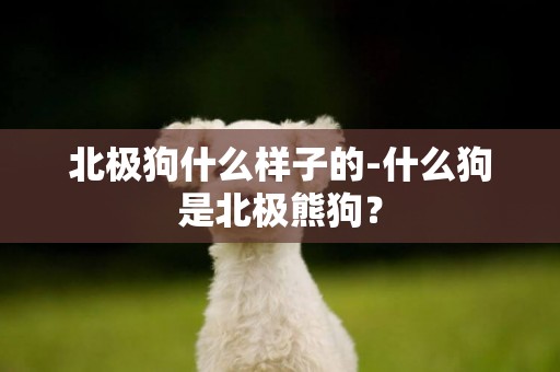 北極狗什么樣子的-什么狗是北極熊狗？