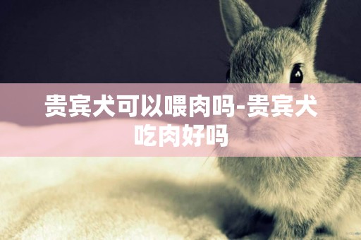 貴賓犬可以喂肉嗎-貴賓犬吃肉好嗎