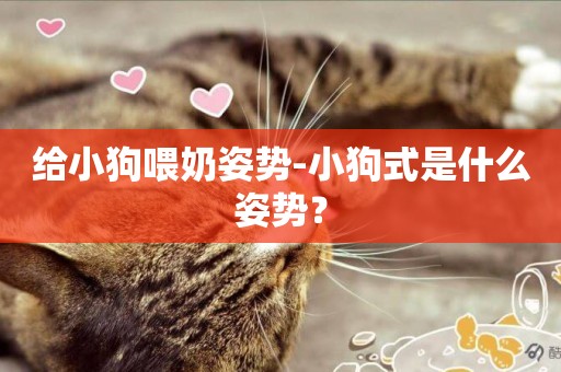給小狗喂奶姿勢-小狗式是什么姿勢？