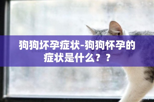 狗狗壞孕癥狀-狗狗懷孕的癥狀是什么？？