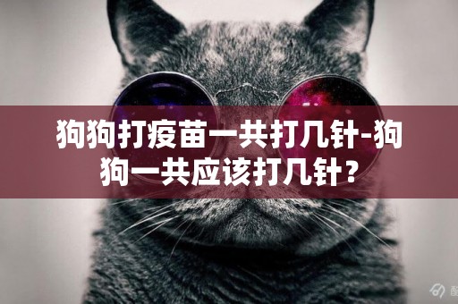 狗狗打疫苗一共打幾針-狗狗一共應該打幾針？
