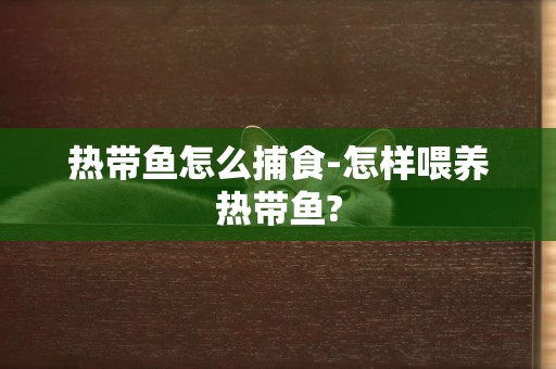熱帶魚怎么捕食-怎樣喂養熱帶魚?