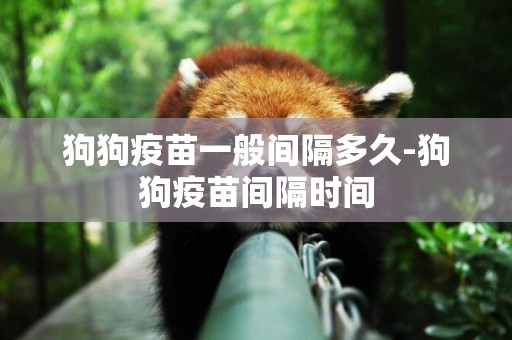 狗狗疫苗一般間隔多久-狗狗疫苗間隔時間