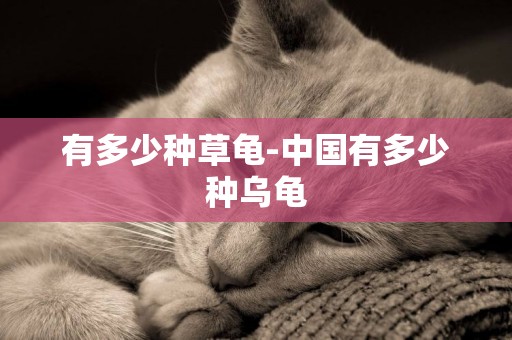 有多少種草龜-中國有多少種烏龜