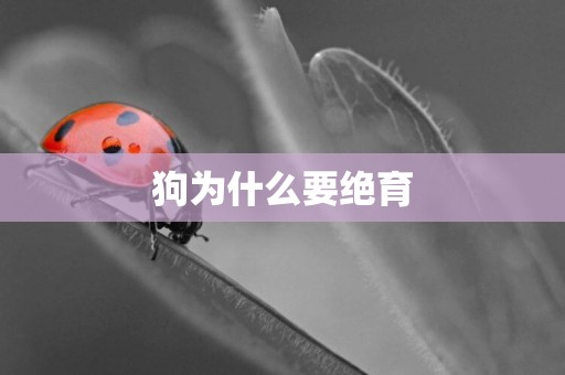 狗為什么要絕育