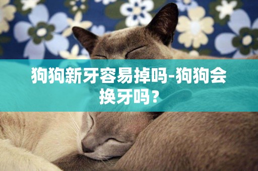 狗狗新牙容易掉嗎-狗狗會換牙嗎？