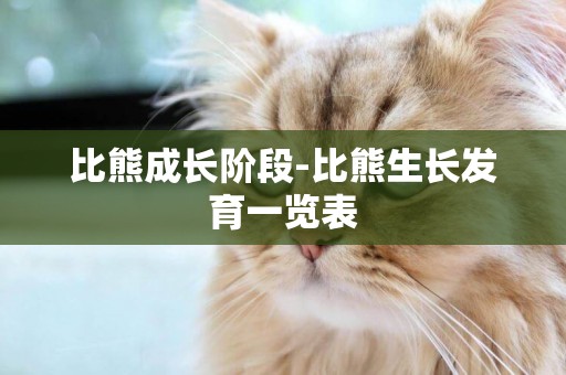 比熊成長階段-比熊生長發育一覽表