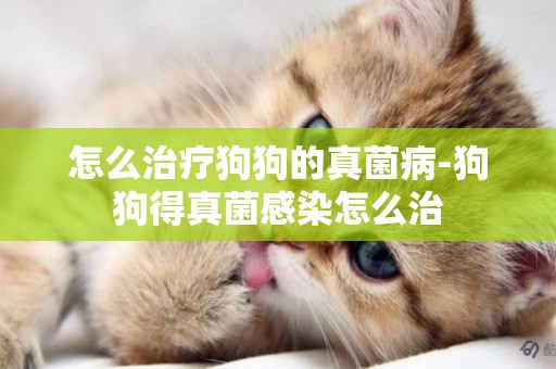 怎么治療狗狗的真菌病-狗狗得真菌感染怎么治