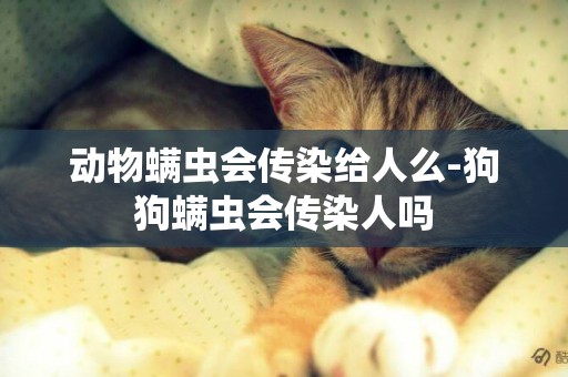動物螨蟲會傳染給人么-狗狗螨蟲會傳染人嗎