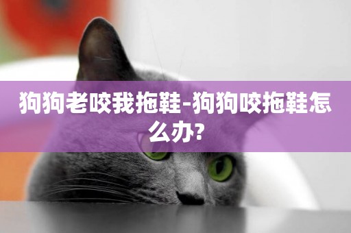 狗狗老咬我拖鞋-狗狗咬拖鞋怎么辦?
