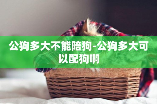 公狗多大不能陪狗-公狗多大可以配狗啊
