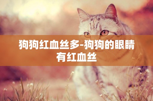 狗狗紅血絲多-狗狗的眼睛有紅血絲