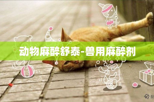 動物麻醉舒泰-獸用麻醉劑