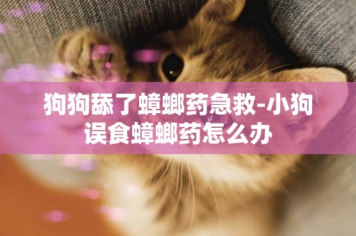 狗狗舔了蟑螂藥急救-小狗誤食蟑螂藥怎么辦