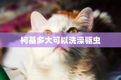 柯基多大可以洗澡驅蟲