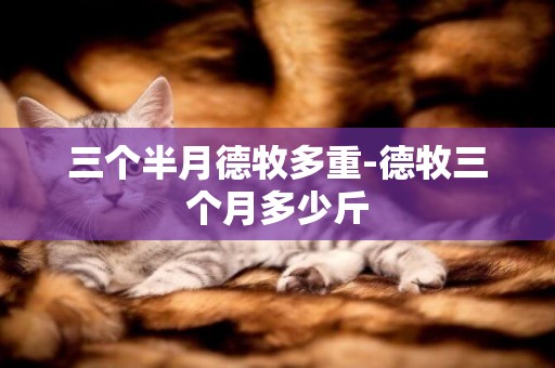 三個半月德牧多重-德牧三個月多少斤
