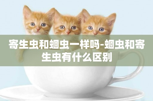 寄生蟲和蛔蟲一樣嗎-蛔蟲和寄生蟲有什么區別