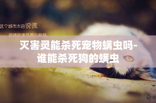 滅害靈能殺死寵物螨蟲嗎-誰能殺死狗的螨蟲