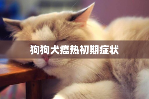 狗狗犬瘟熱初期癥狀