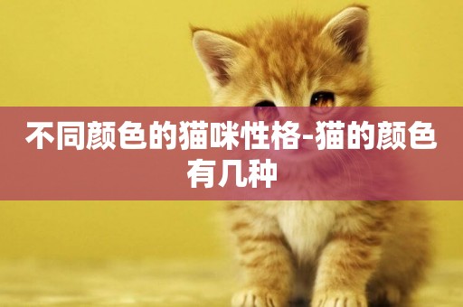 不同顏色的貓咪性格-貓的顏色有幾種