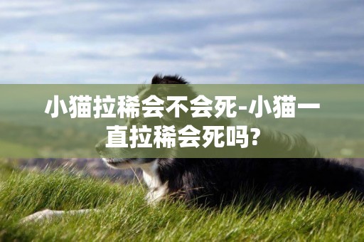 小貓拉稀會不會死-小貓一直拉稀會死嗎?