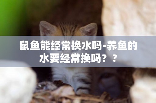 鼠魚能經常換水嗎-養魚的水要經常換嗎？？
