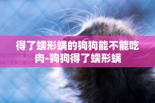 得了蠕形螨的狗狗能不能吃肉-狗狗得了蠕形螨