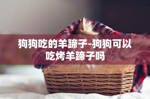 狗狗吃的羊蹄子-狗狗可以吃烤羊蹄子嗎