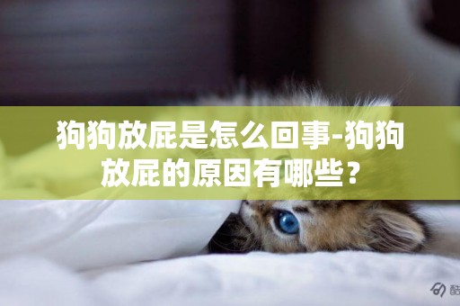 狗狗放屁是怎么回事-狗狗放屁的原因有哪些？