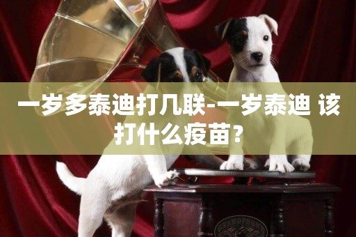一歲多泰迪打幾聯-一歲泰迪 該打什么疫苗？