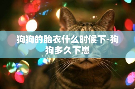 狗狗的胎衣什么時候下-狗狗多久下崽