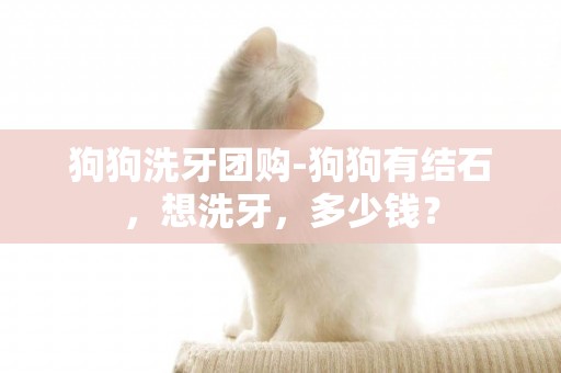 狗狗洗牙團購-狗狗有結石，想洗牙，多少錢？