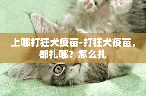 上哪打狂犬疫苗-打狂犬疫苗，都扎哪？怎么扎