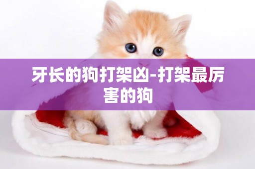 牙長的狗打架兇-打架最厲害的狗