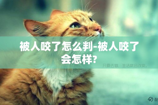 被人咬了怎么判-被人咬了會怎樣?