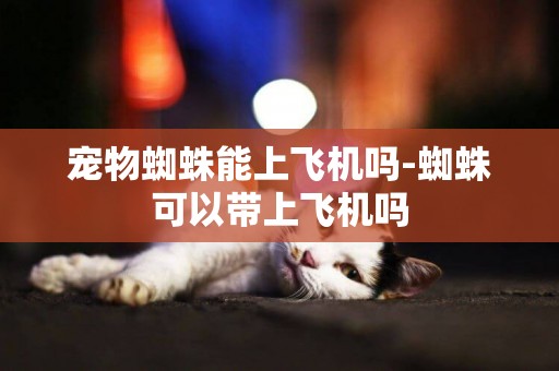 寵物蜘蛛能上飛機嗎-蜘蛛可以帶上飛機嗎