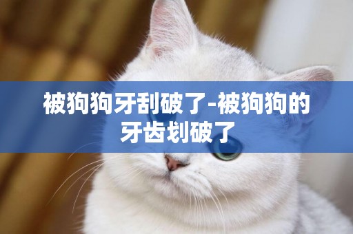 被狗狗牙刮破了-被狗狗的牙齒劃破了