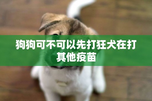 狗狗可不可以先打狂犬在打其他疫苗
