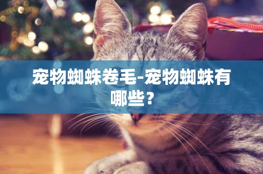 寵物蜘蛛卷毛-寵物蜘蛛有哪些？