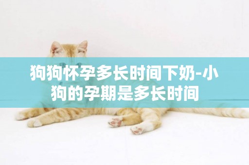 狗狗懷孕多長時間下奶-小狗的孕期是多長時間
