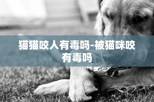 貓貓咬人有毒嗎-被貓咪咬有毒嗎