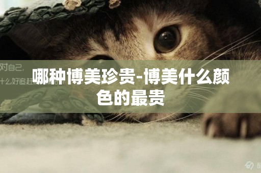 哪種博美珍貴-博美什么顏色的最貴