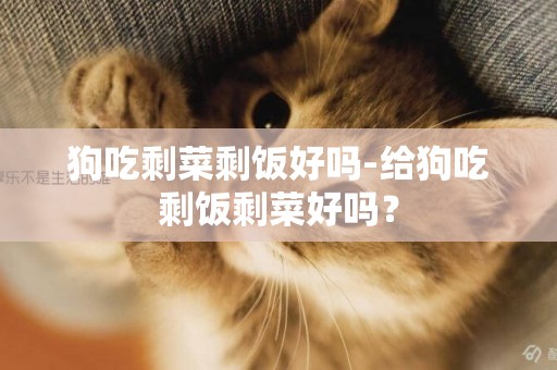狗吃剩菜剩飯好嗎-給狗吃剩飯剩菜好嗎？