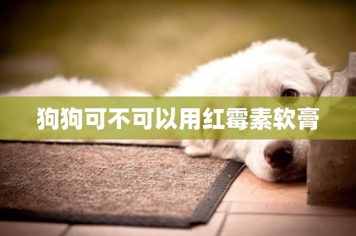 狗狗可不可以用紅霉素軟膏