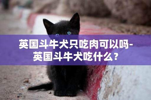 英國斗牛犬只吃肉可以嗎-英國斗牛犬吃什么？