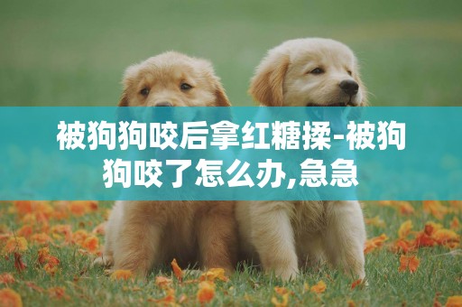 被狗狗咬后拿紅糖揉-被狗狗咬了怎么辦,急急