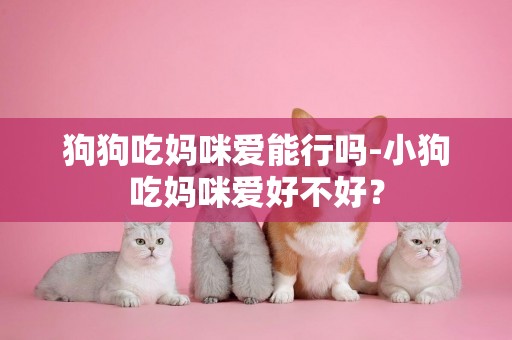 狗狗吃媽咪愛能行嗎-小狗吃媽咪愛好不好？