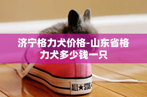 濟寧格力犬價格-山東省格力犬多少錢一只