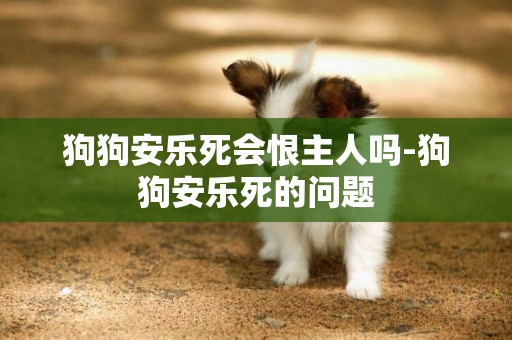 狗狗安樂死會恨主人嗎-狗狗安樂死的問題