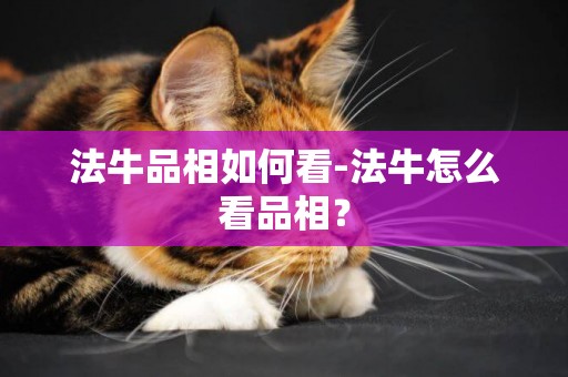 法牛品相如何看-法牛怎么看品相？